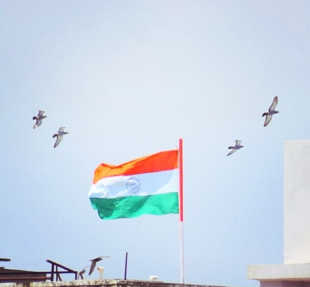 Indian Flag