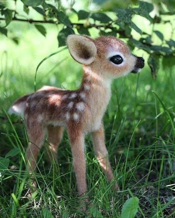 cute