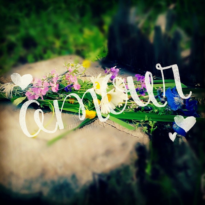 amour