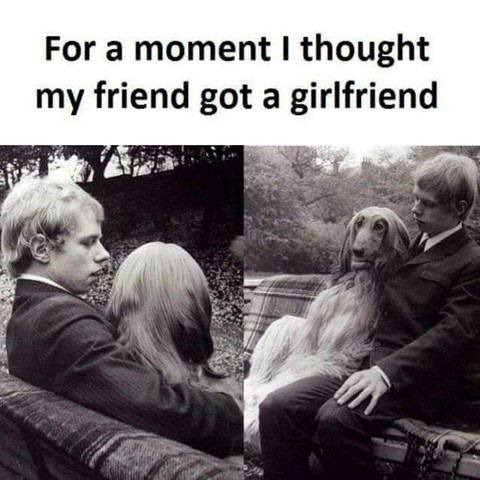 Hahahahaha