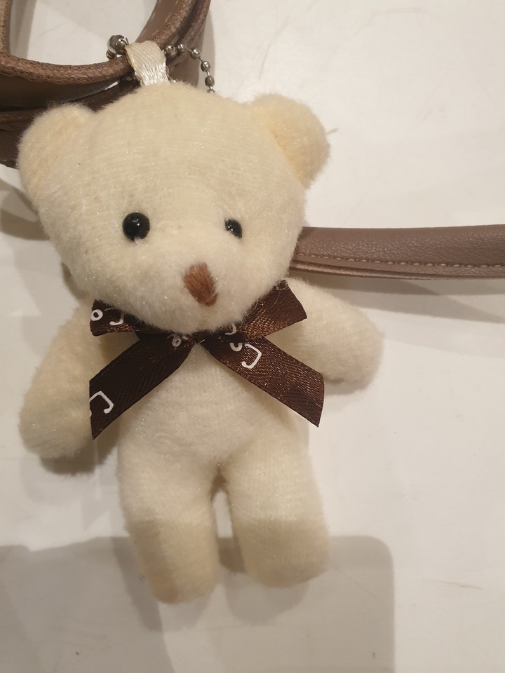 Teddy