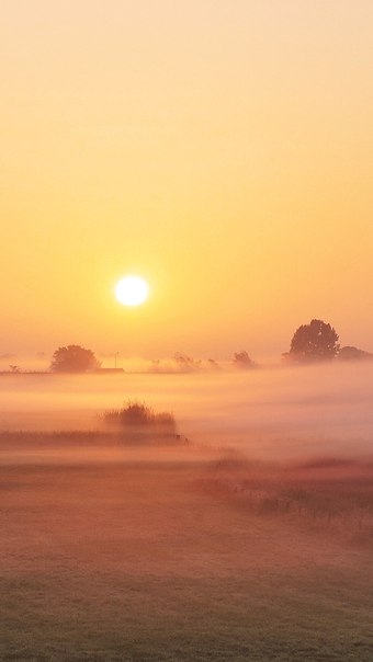 sun