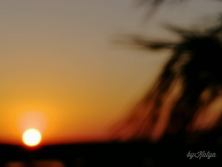 Dawn