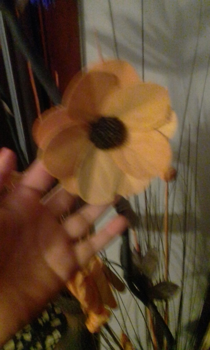 flor de ensueño