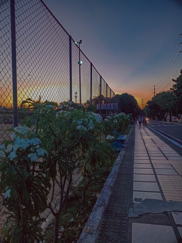Square