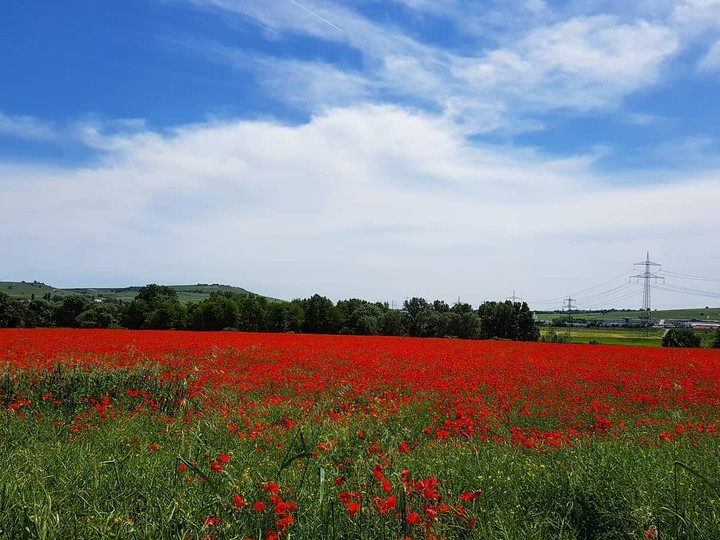 nature