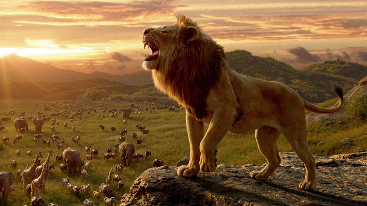 Lion King