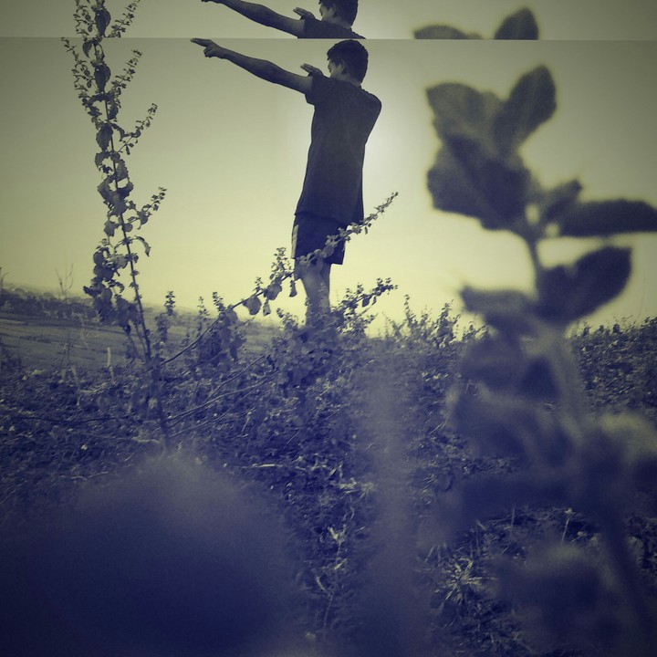 shoot