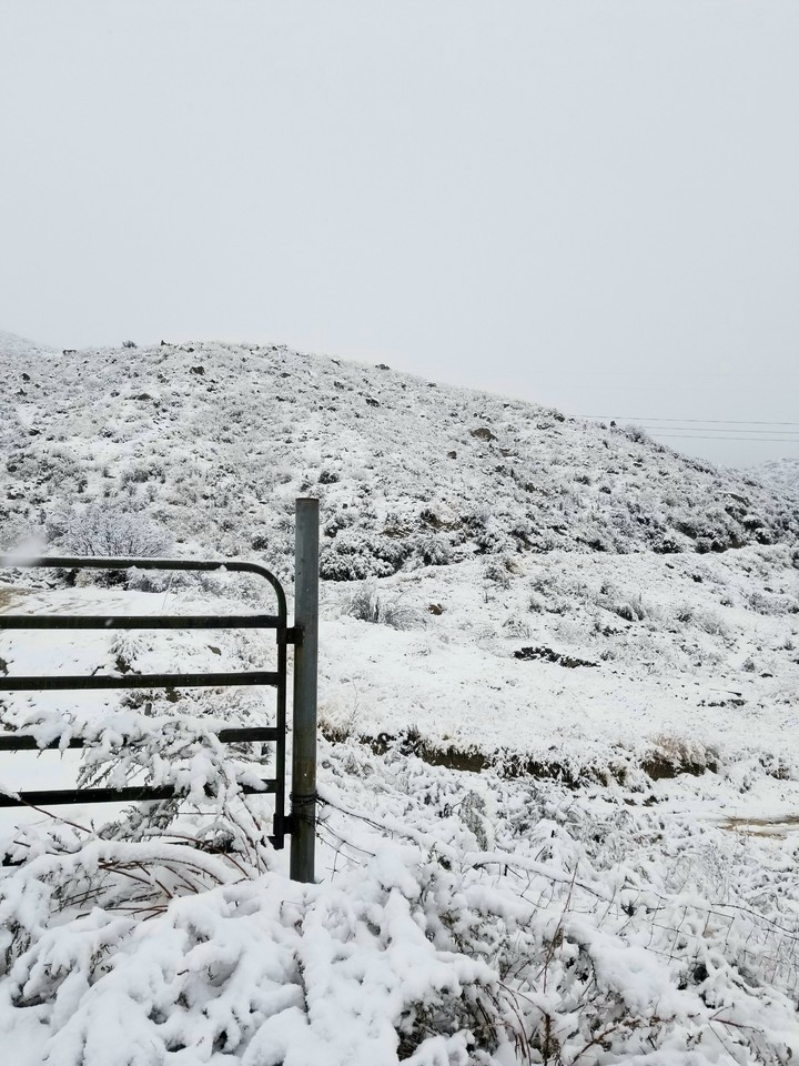 snow