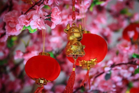 Chinese Lunar New Year, Buffalo’s Year