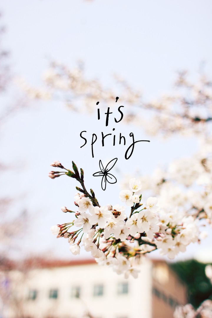 It's Spring