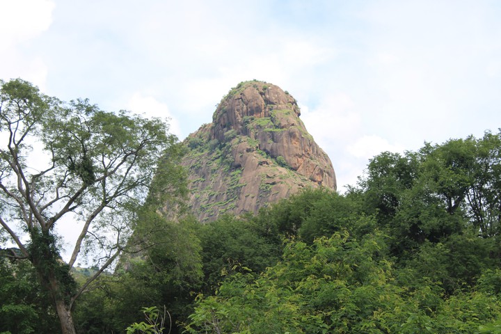 mountain