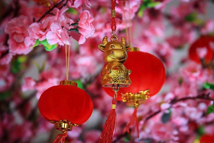 Chinese Lunar New Year, Buffalo’s Year