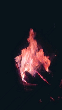 Friday night