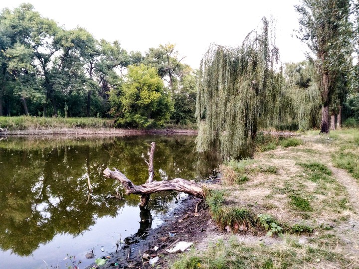 bayou