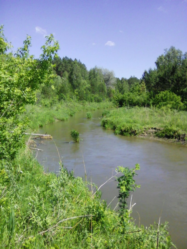 на реке