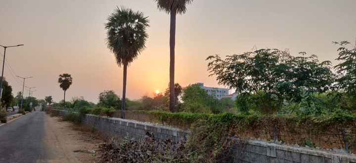 Sunrise
