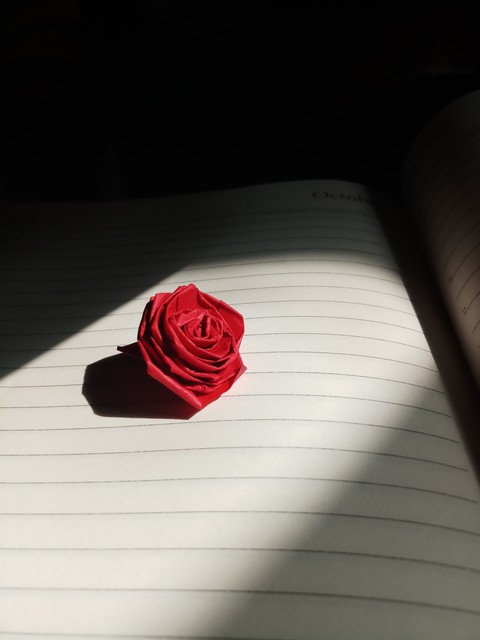 shadow lover