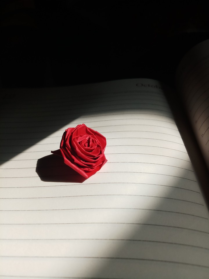 shadow lover