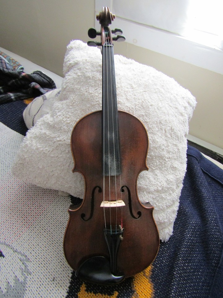 Viola Valentine