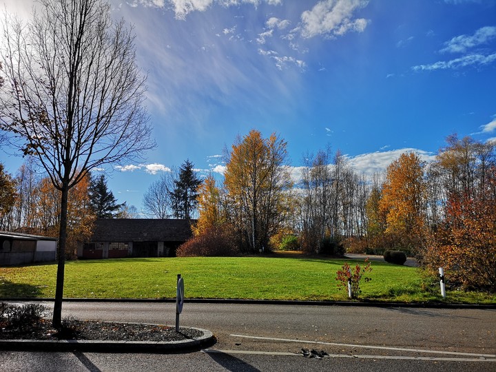 Bright Sunny Day