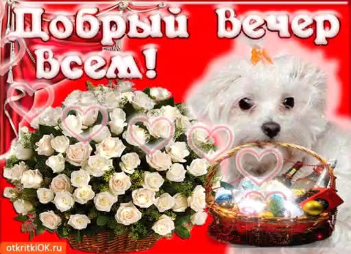 Good evening.