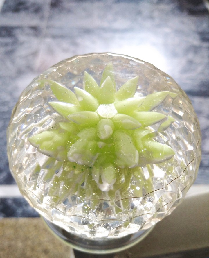 Flower in Crystal