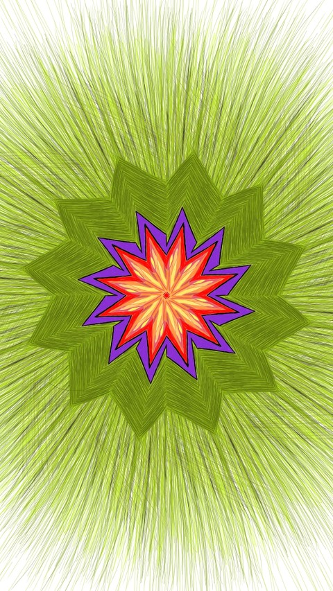 566