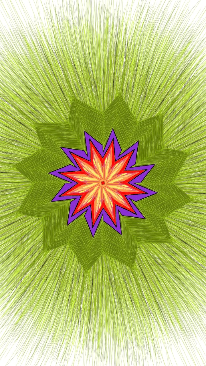 566