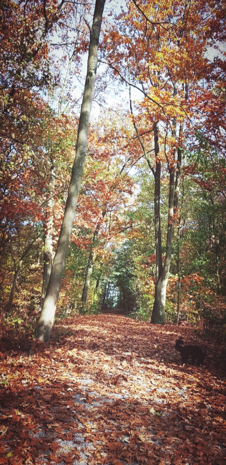 Herbst