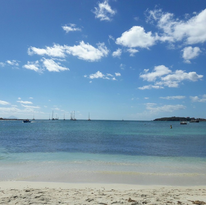 sail away