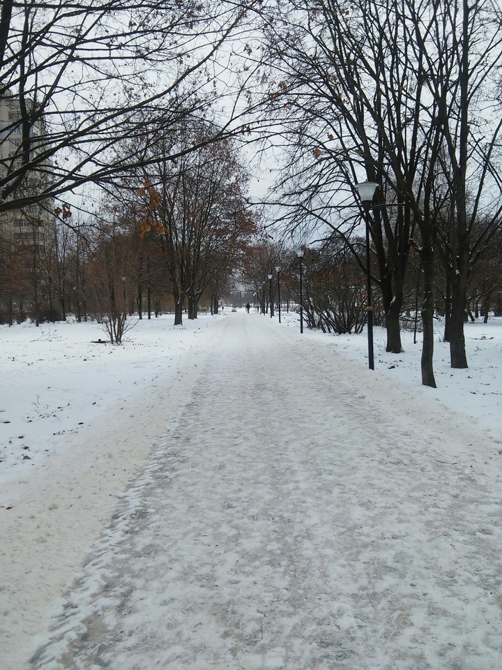 Зима