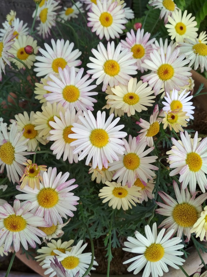 (-:
