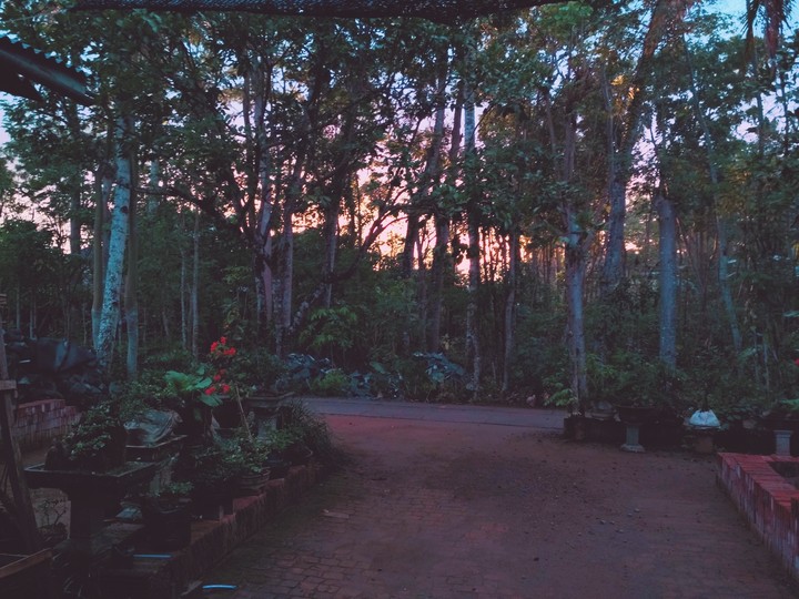 sunrise