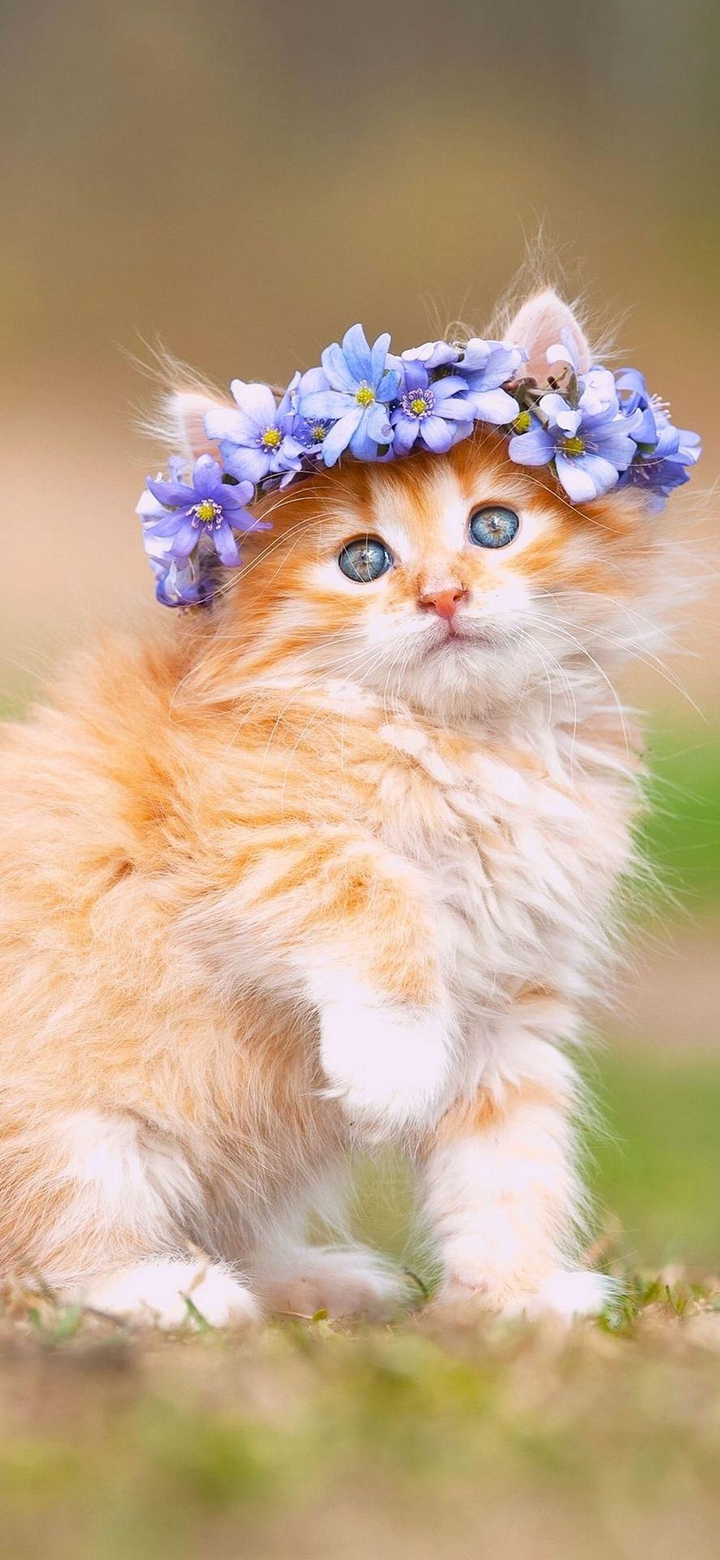 cute ?