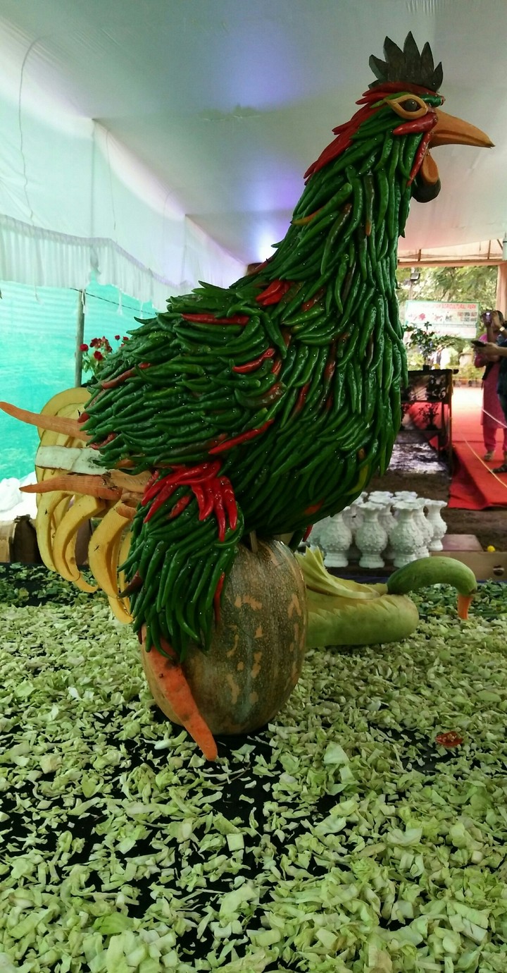 vegetable cock