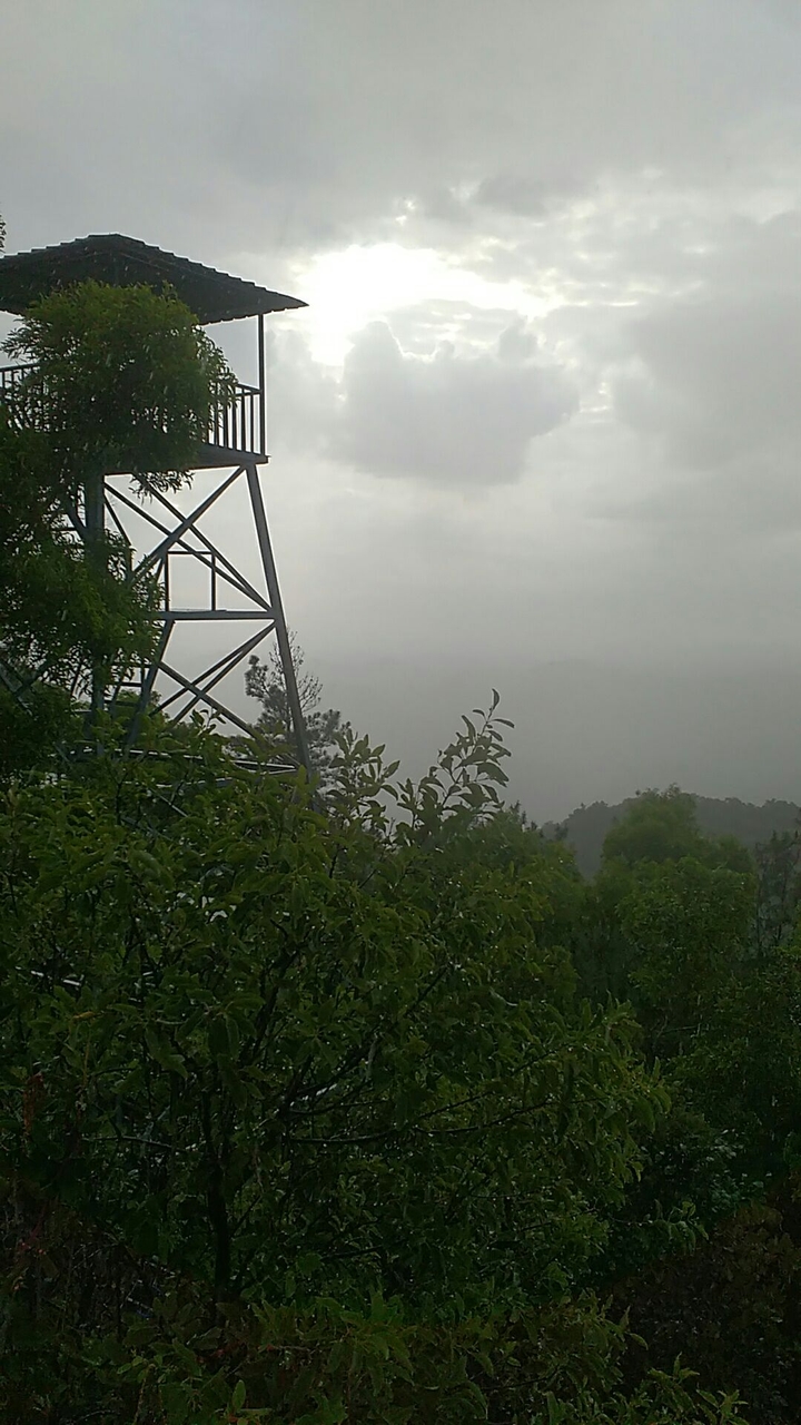 tirupati sri vari padhalu