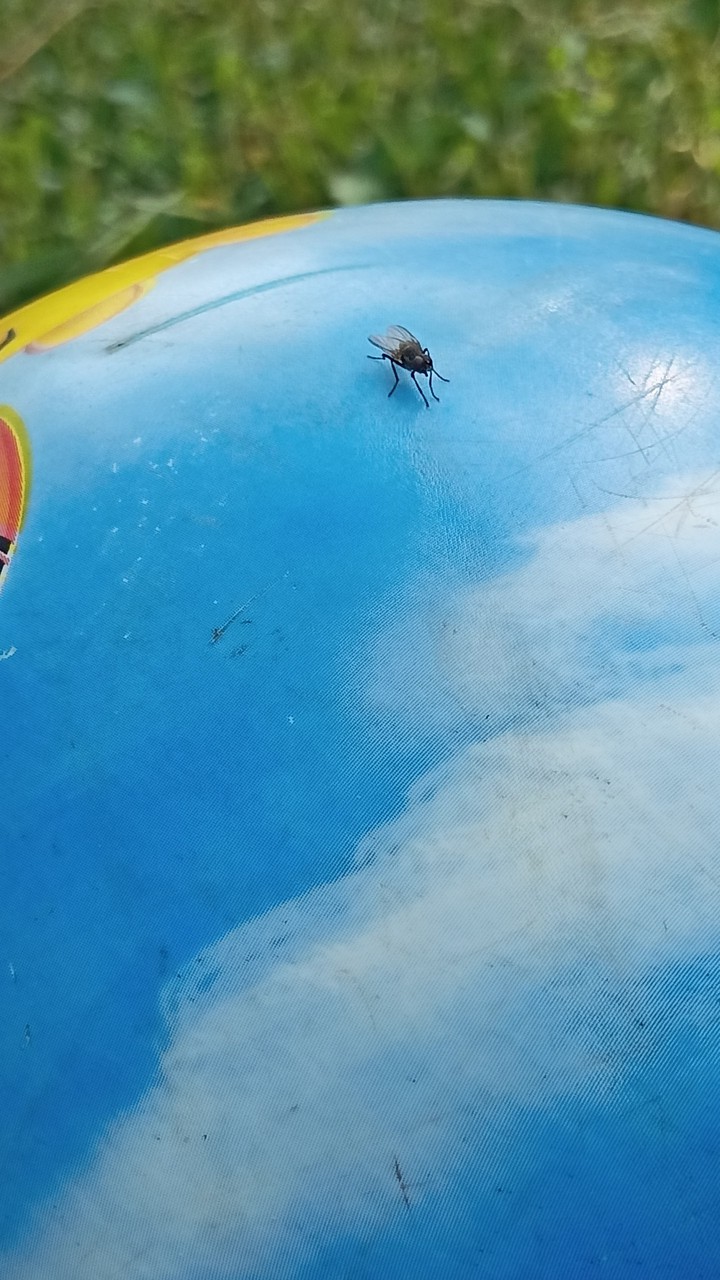?