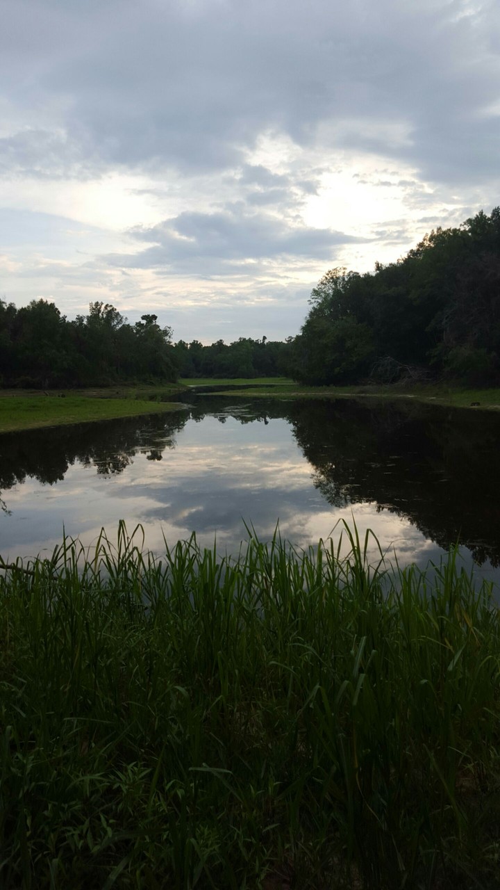 Little Pond