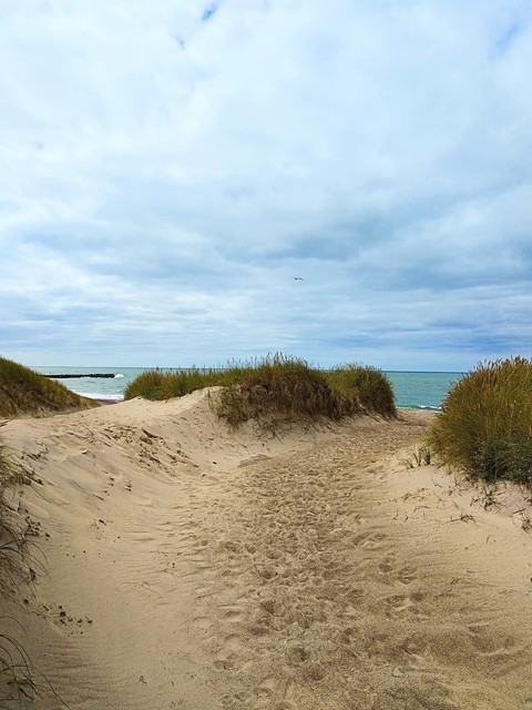 Meer