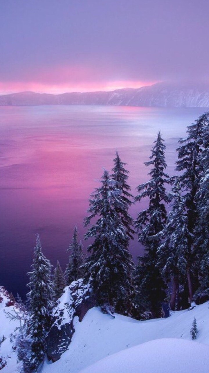nice winter