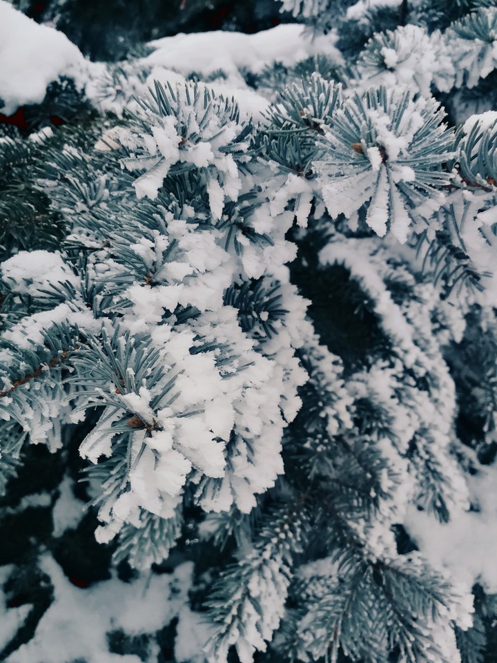 snow