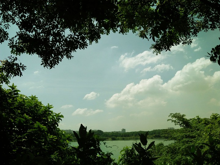 Sunny green day.