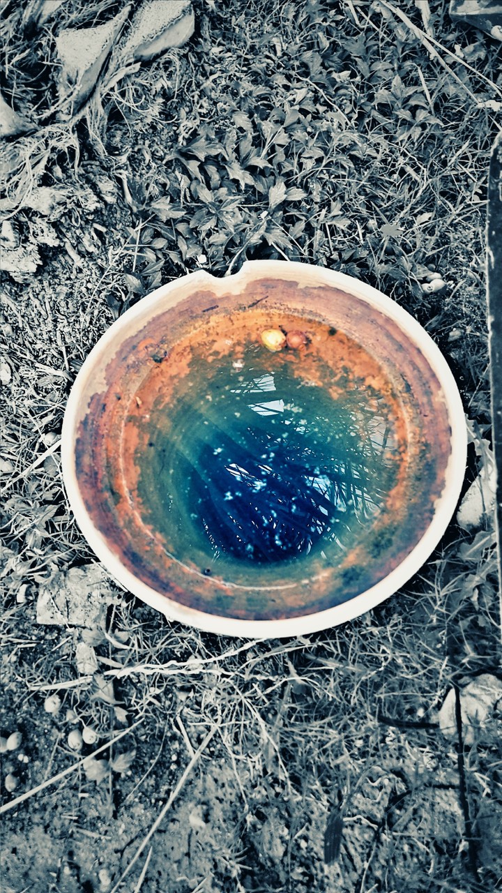 Sad Water