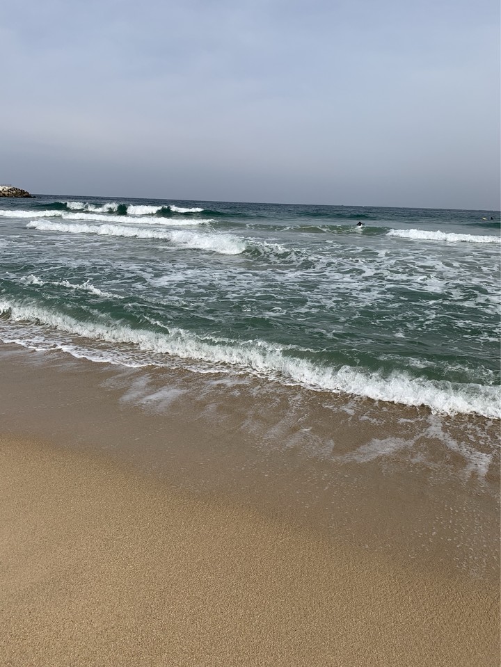 바다