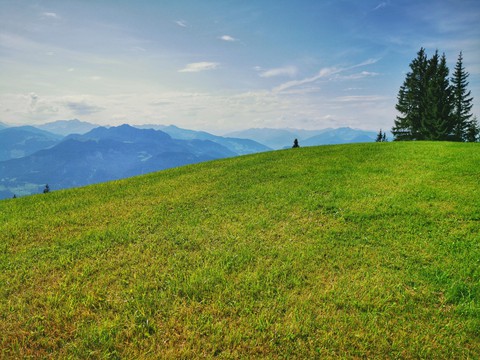 green field and mountains in the distance
