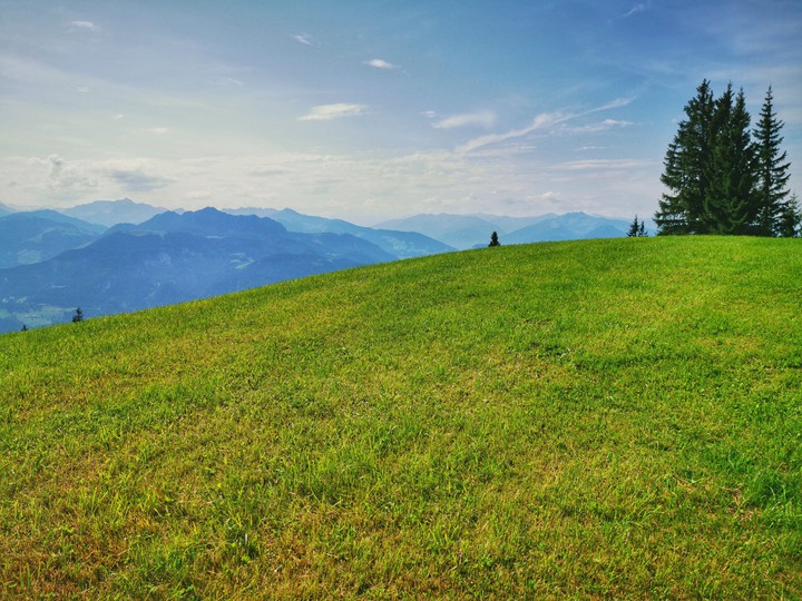 green field and mountains in the distance