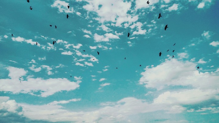 sky