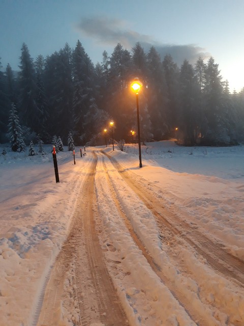 snow snow
