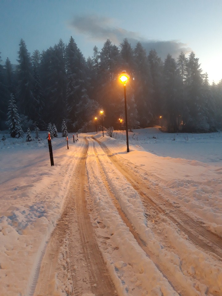 snow snow